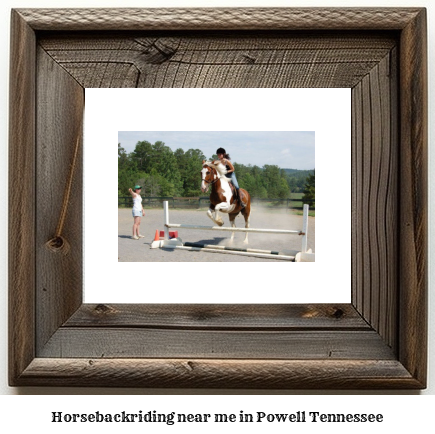 horseback riding near me in Powell, Tennessee